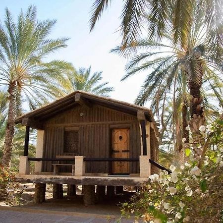 Dar Horchani Tozeur Luaran gambar